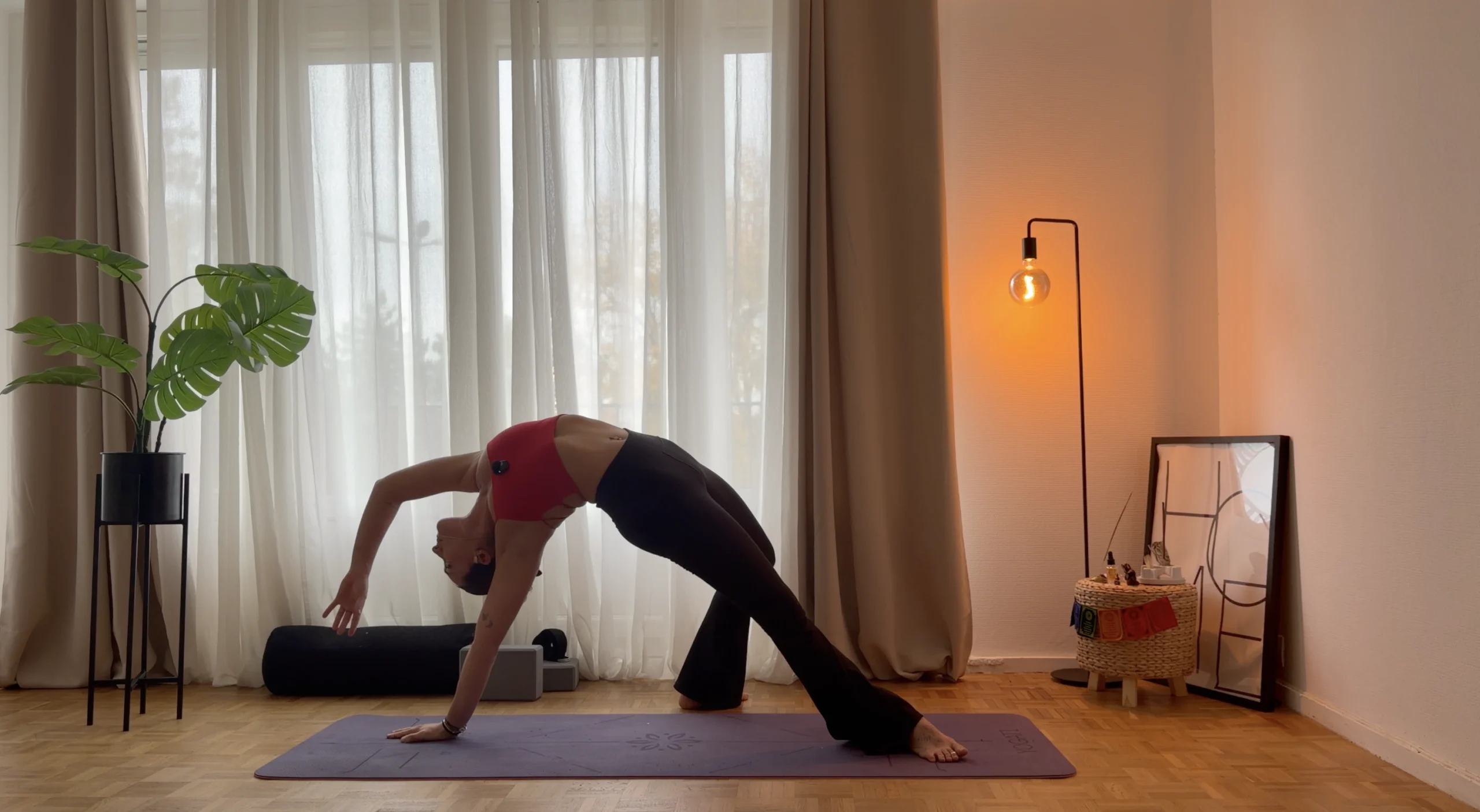 posture sauvage yoga