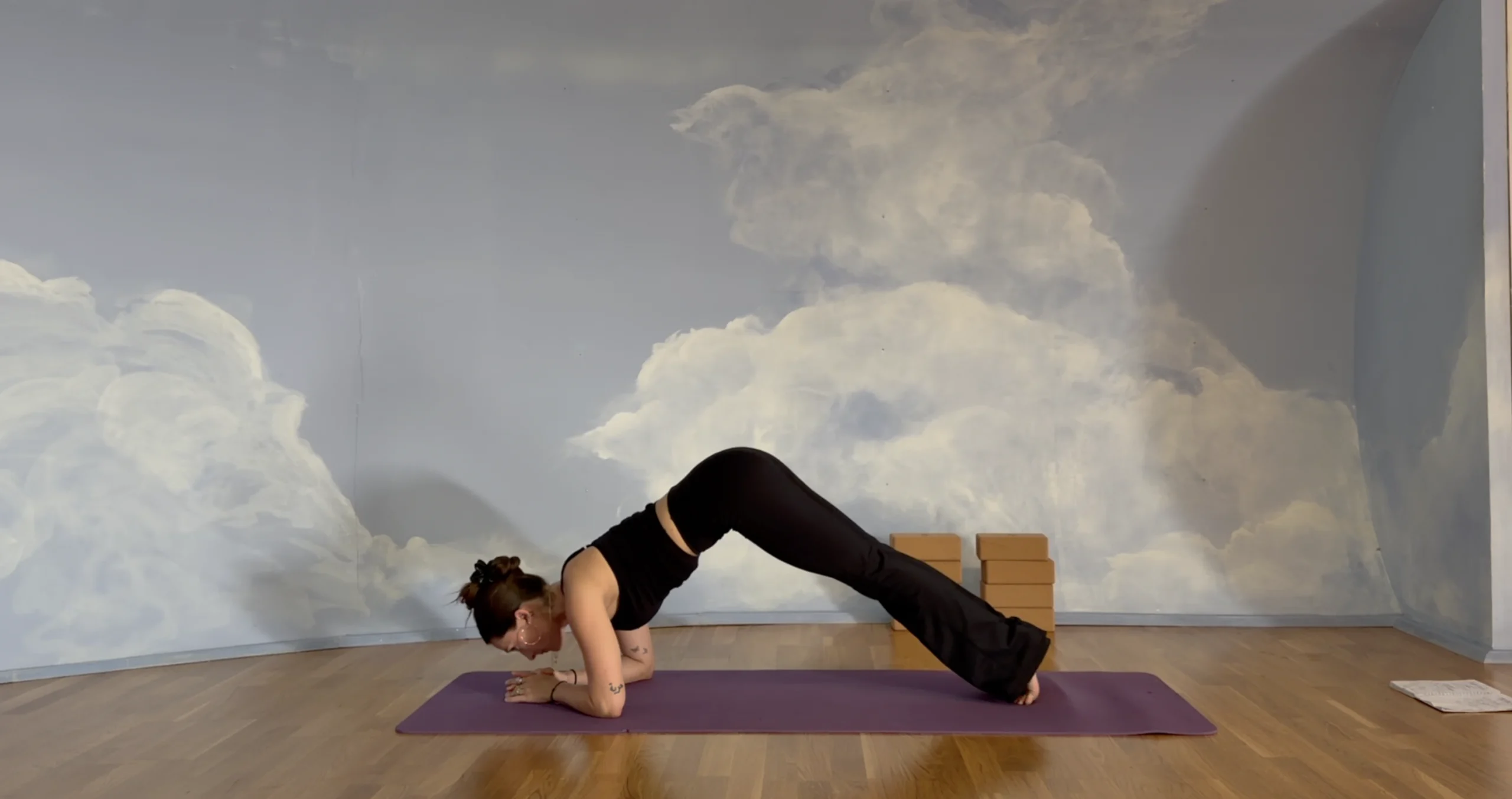 posture du dauphin yoga